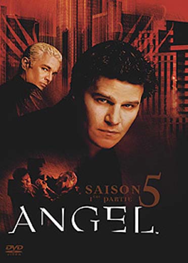 Angel - Saison 5 - 1ère partie [DVD]