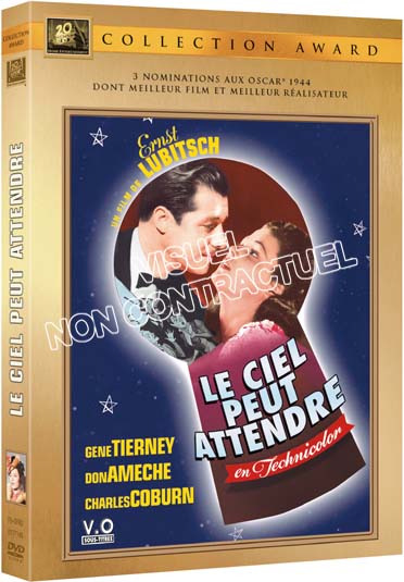 Le Ciel peut attendre [DVD]