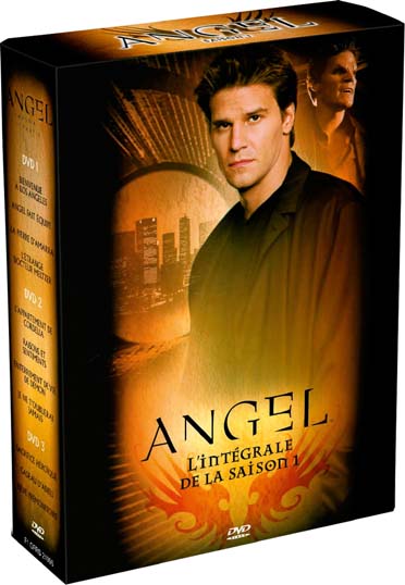 Angel - Saison 1 [DVD]