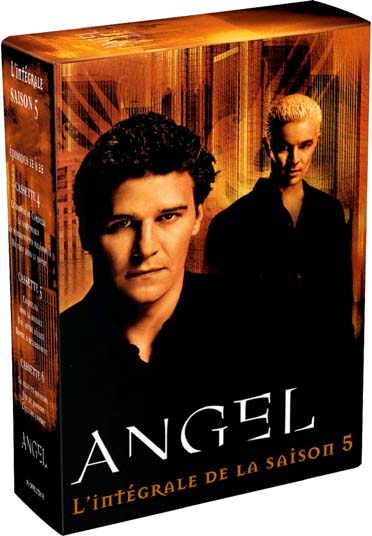 Angel - Saison 5 [DVD]