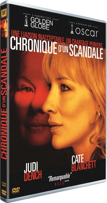 Chronique d'un scandale [DVD] - flash vidéo