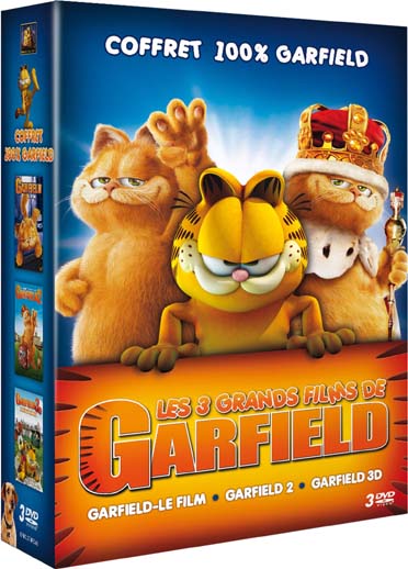 Coffret 100% Garfield [DVD]