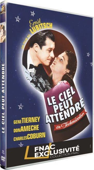 Le ciel peut attendre [DVD]