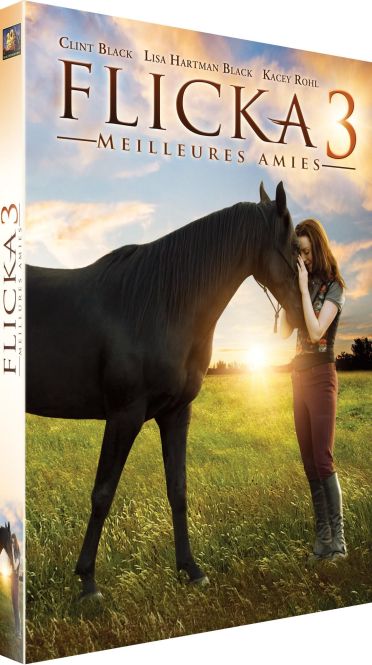 Flicka 3 : Meilleures amies [DVD] - flash vidéo