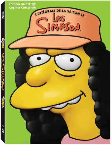 Les Simpson - L'intégrale de la saison 15 [DVD]