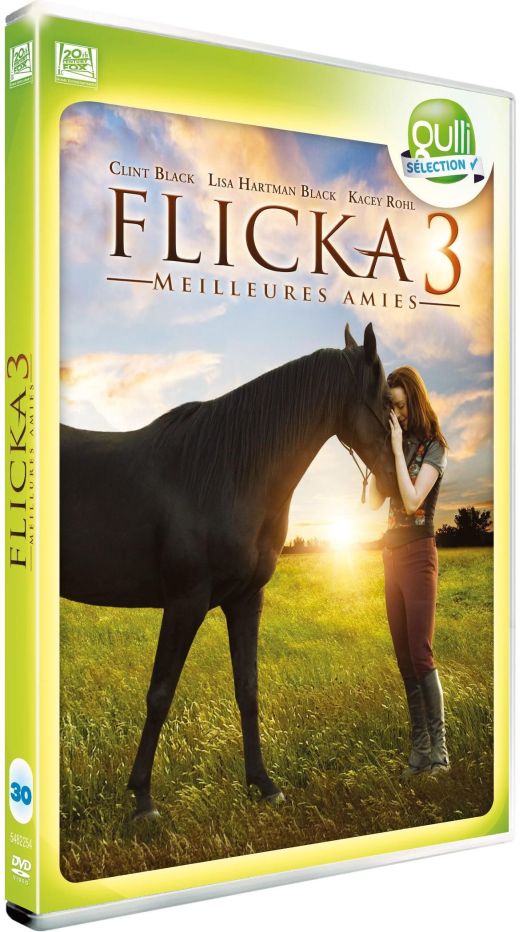 Flicka 3 : Meilleures amies [DVD]