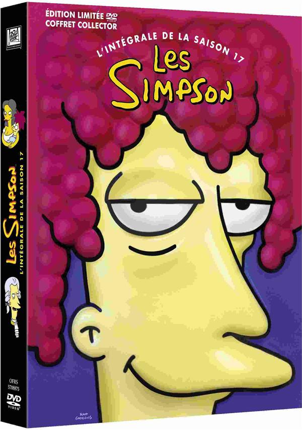 Les Simpson - L'intégrale de la saison 17 [DVD]