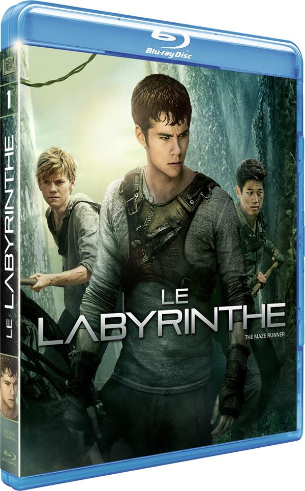 Le Labyrinthe [Blu-ray] - flash vidéo