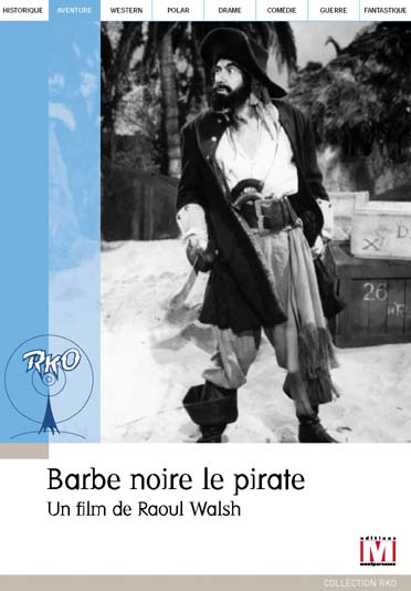 Barbe Noire le pirate [DVD] - flash vidéo