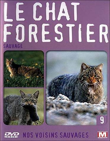 Nos voisins sauvages Vol. 9 - Le chat forestier : Sauvage [DVD] - flash vidéo