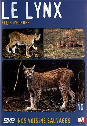 Nos voisins sauvages Vol. 10 - Le lynx : Félin d'Europe [DVD]