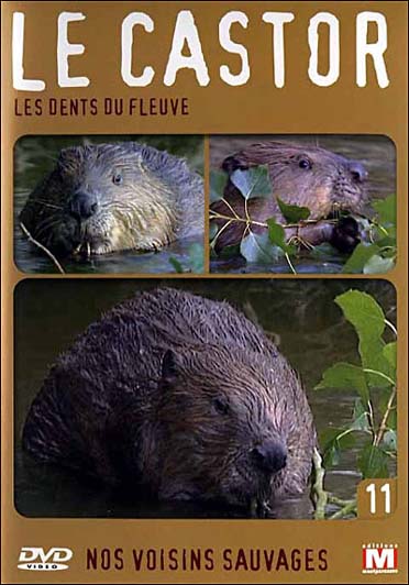 Nos voisins sauvages Vol. 11 - Le castor : Les dents du fleuve [DVD]
