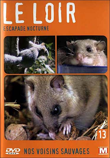 Nos voisins sauvages Vol. 13 - Le loir : Escapade nocturne [DVD]