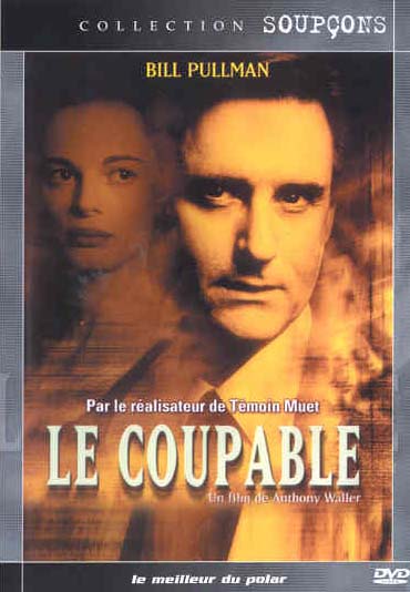 Le Coupable [DVD]