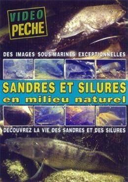 Sandres et silures en milieu naturel - Découvrez la vie des sandres et des silures [DVD] - flash vidéo