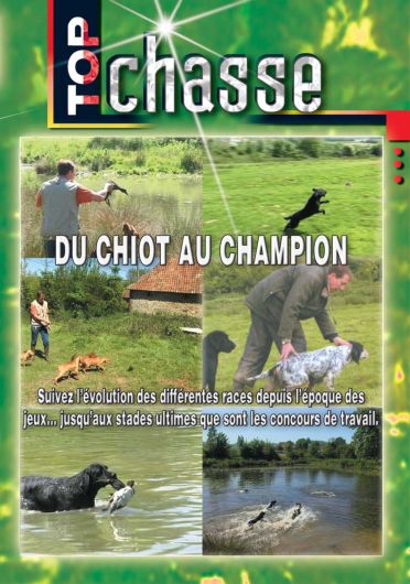Du chiot au champion [DVD] - flash vidéo