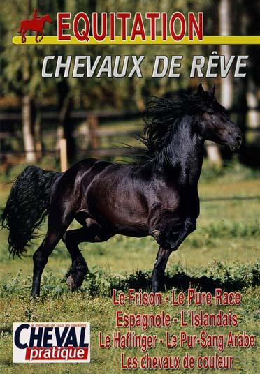 Équitation - Chevaux de rêve [DVD] - flash vidéo