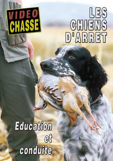 Les Chiens d'arrêt - Education et conduite [DVD] - flash vidéo