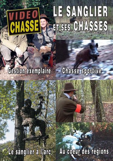 Le Sanglier et ses chasses : Gestion exemplaire, chasse sportive, le sanglier à l'arc, au coeur des régions [DVD] - flash vidéo