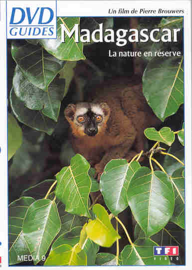 Madagascar - Grandeur nature [DVD]