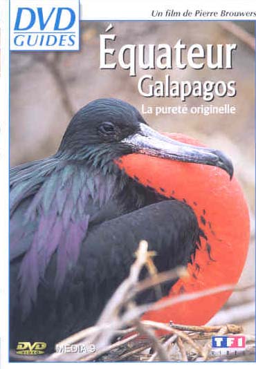 Equateur / Galapagos - La pureté originelle [DVD]