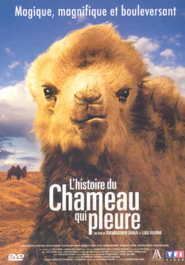 L'Histoire du chameau qui pleure [DVD]
