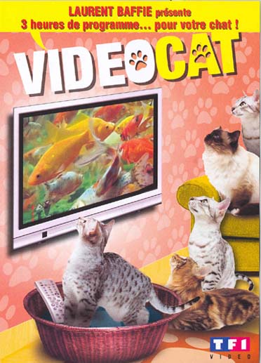 Video cat [DVD]