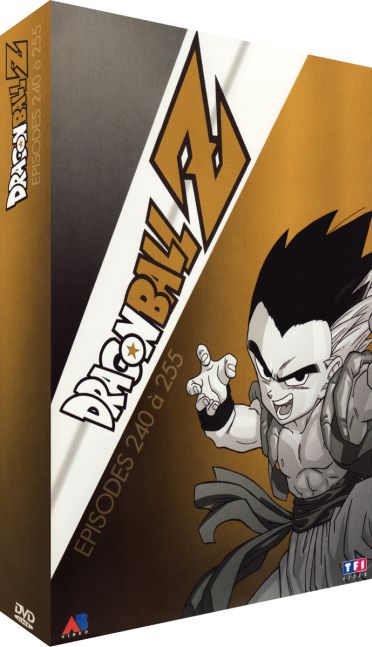 Dragon Ball Z - Coffret 4 DVD - 13 - Épisodes 240 à 255 [DVD]