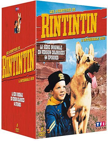 Les Aventures de Rintintin - L'intégrale DVD [DVD]