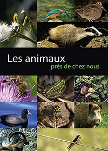 Les Animaux près de chez nous [DVD]