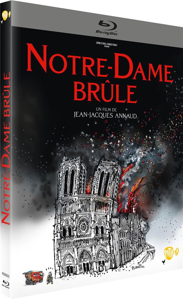 Notre-Dame brûle [Blu-ray] - flash vidéo