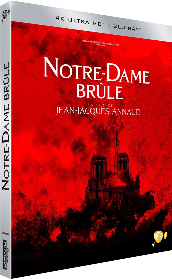 Notre-Dame brûle [4K Ultra HD] - flash vidéo