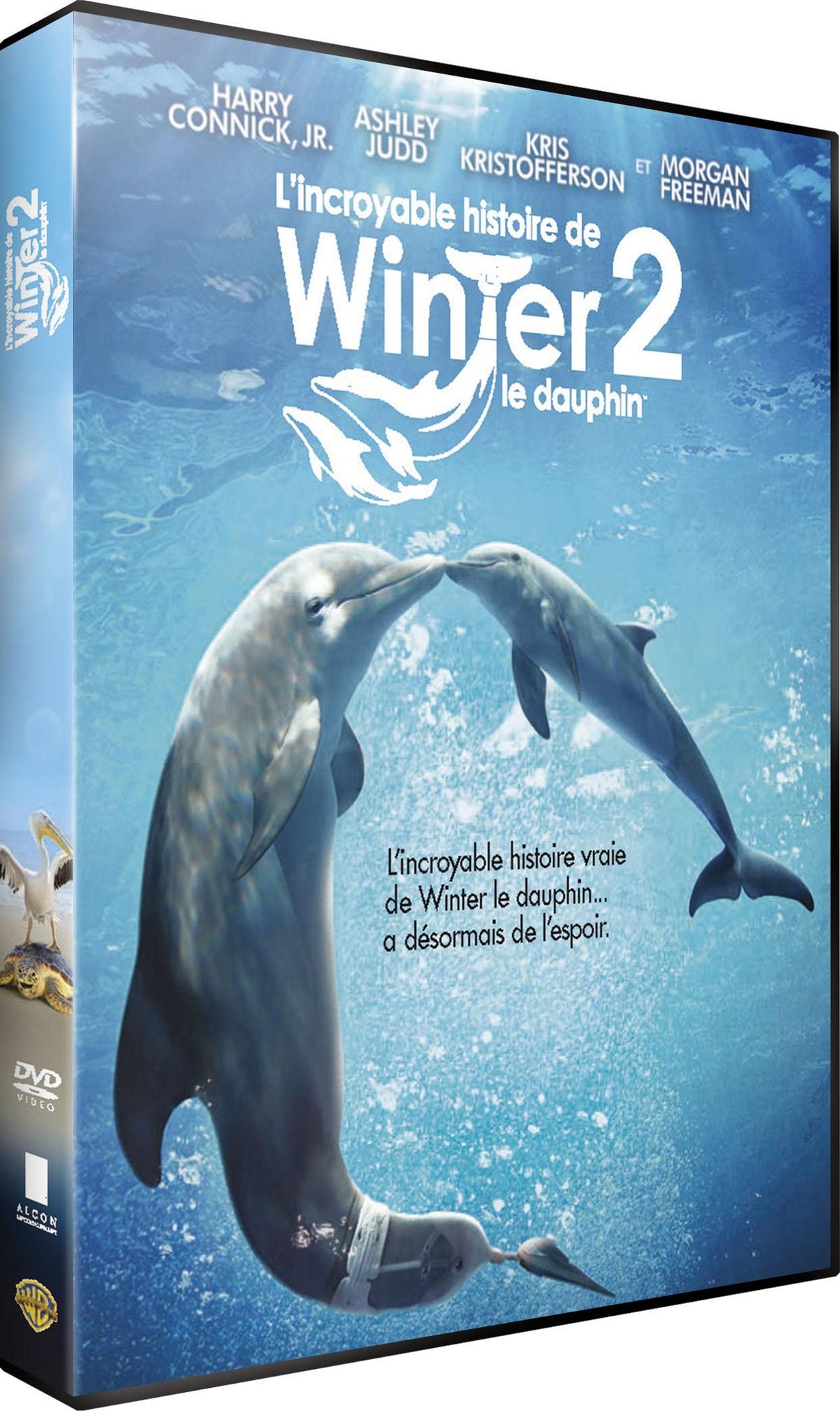 L'Incroyable histoire de Winter le Dauphin 2 [DVD]