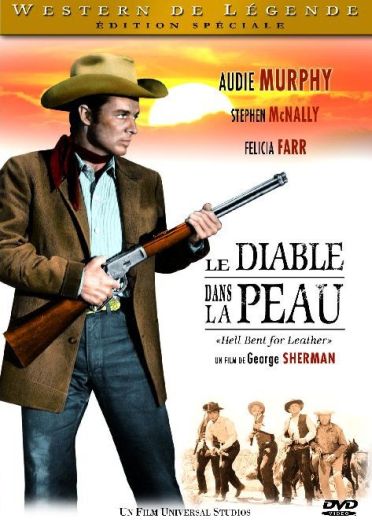 Le Diable dans la peau [DVD]