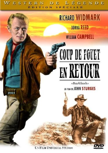 Coup de fouet en retour [DVD]