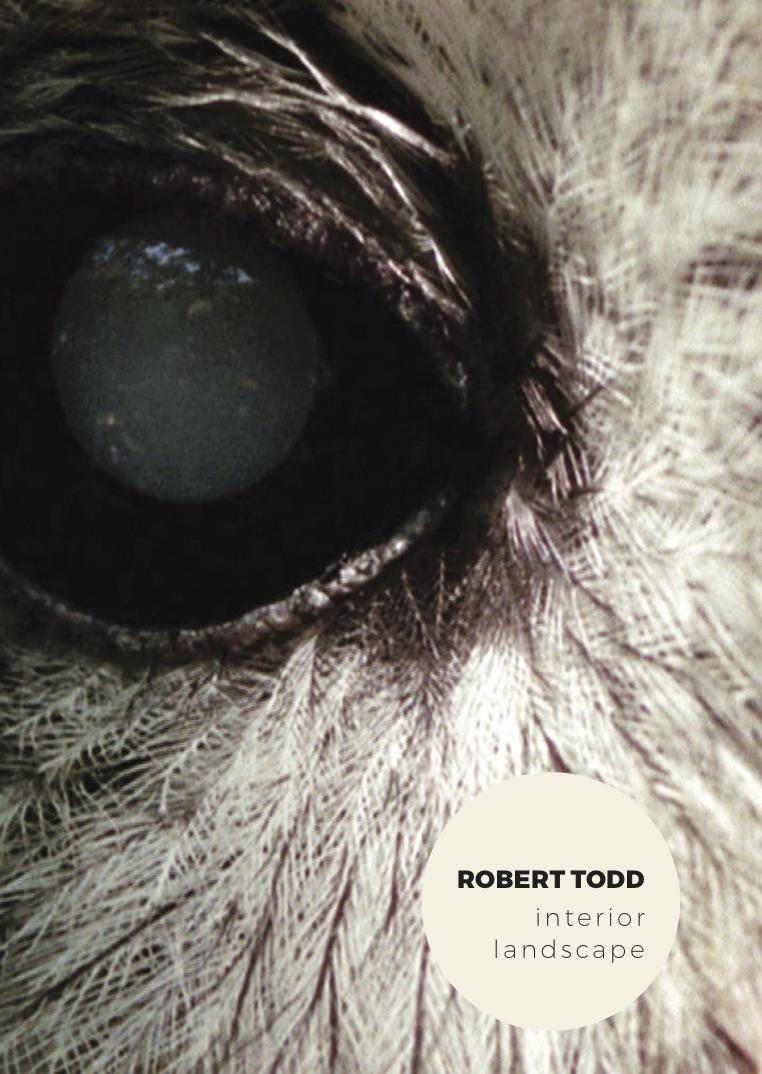Robert Todd - Interior Landscape [DVD]