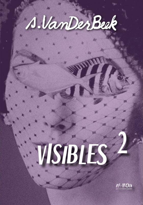 Stan Vanderbeek - Visibles 2 [DVD] - flash vidéo