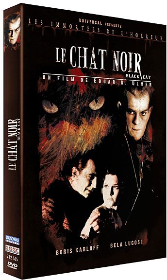 Le Chat noir [DVD] - flash vidéo