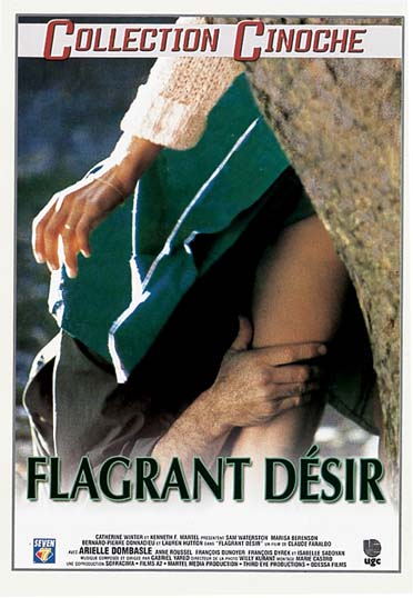 Flagrant désir [DVD]