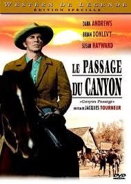 Le Passage du canyon [DVD] - flash vidéo