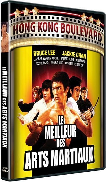 Le Meilleur des arts martiaux [DVD]