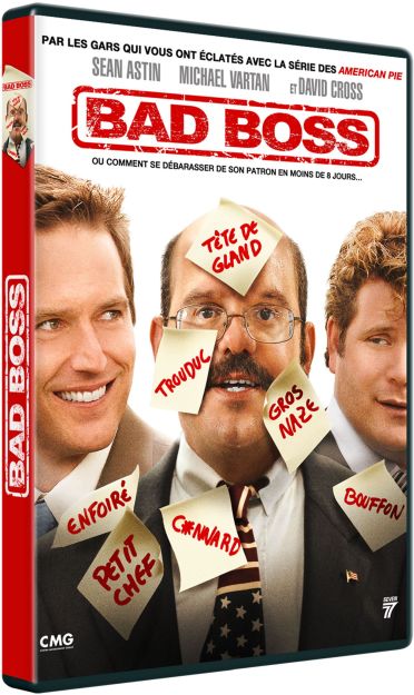 Bad Boss [DVD]