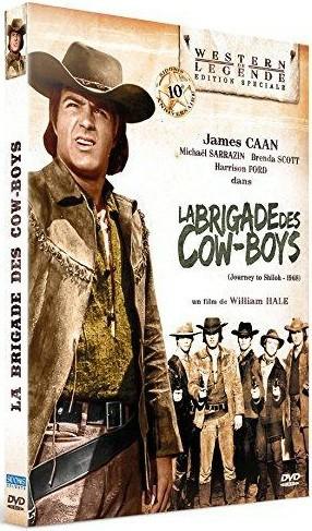 La brigade des cow-boys [DVD] - flash vidéo