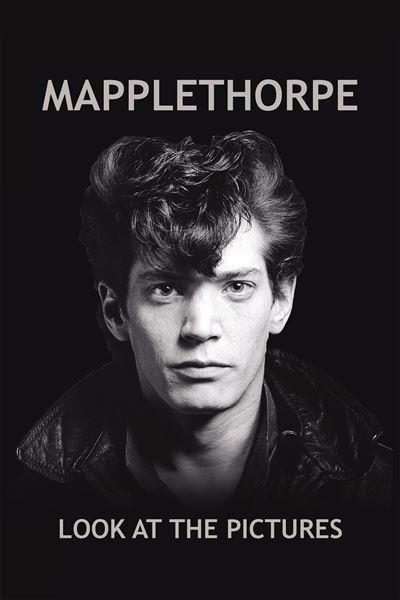 Mapplethorpe : Look at the Pictures [DVD]