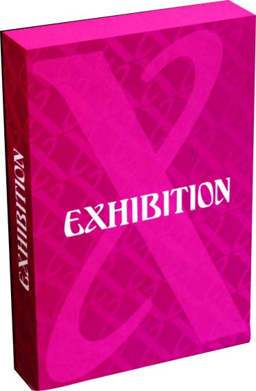 Exhibition(s) - Les films-enquêtes cul(tes) de Jean-François Davy [DVD]