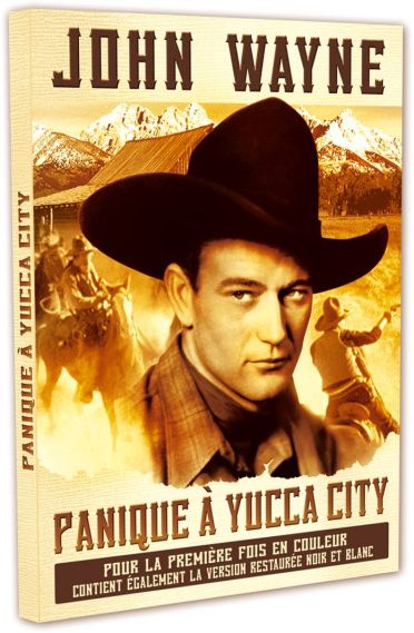 Panique à Yucca City [DVD]