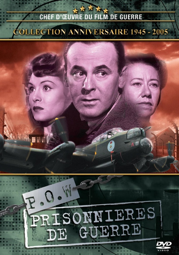 P.O.W - Prisonnières de guerre [DVD]