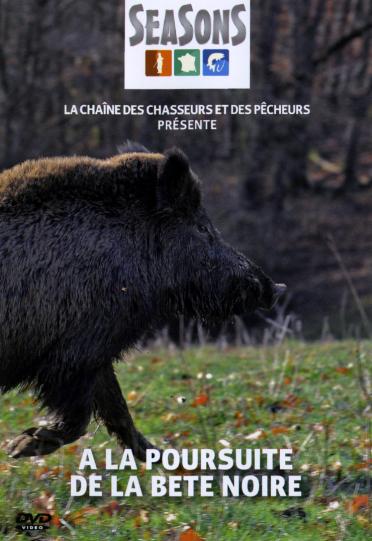 A la poursuite de la bête noire [DVD]