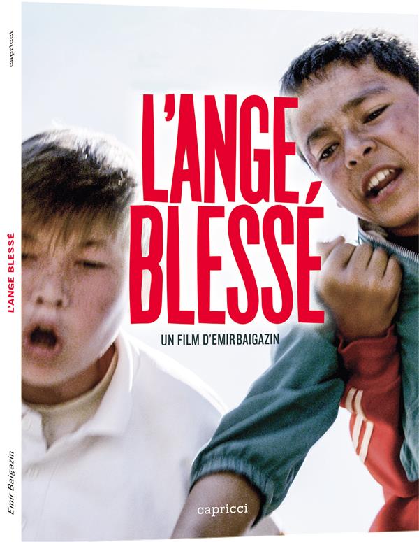 L'Ange blessé [DVD]