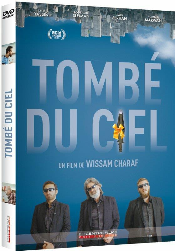Tombé du ciel [DVD]